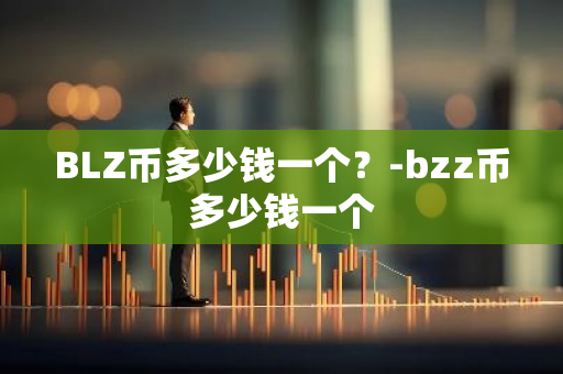 BLZ币多少钱一个？-bzz币多少钱一个