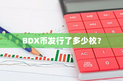 BDX币发行了多少枚？