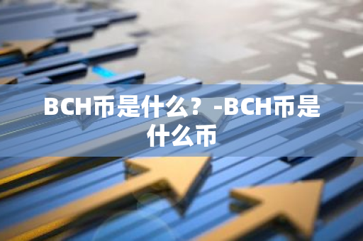 BCH币是什么？-BCH币是什么币