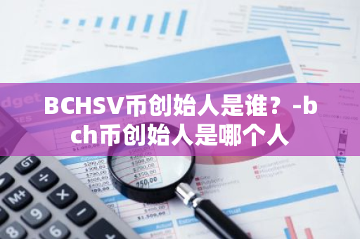 BCHSV币创始人是谁？-bch币创始人是哪个人