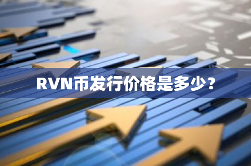 RVN币发行价格是多少？