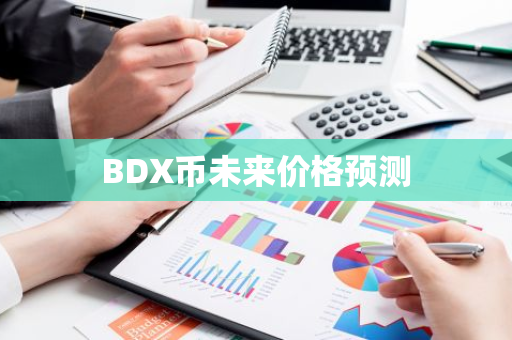 BDX币未来价格预测