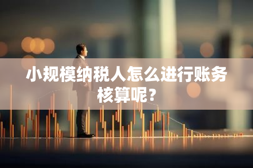 小规模纳税人怎么进行账务核算呢？