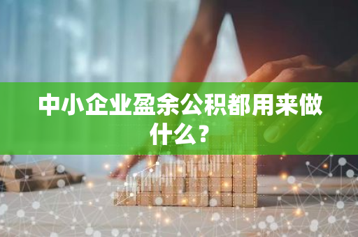 中小企业盈余公积都用来做什么？