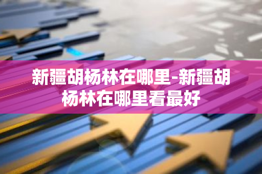 新疆胡杨林在哪里-新疆胡杨林在哪里看最好