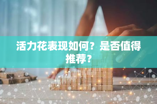 活力花表现如何？是否值得推荐？