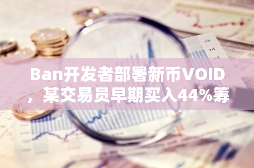 Ban开发者部署新币VOID，某交易员早期买入44%筹码半小时获利100万美元