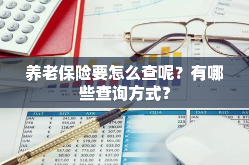 养老保险要怎么查呢？有哪些查询方式？