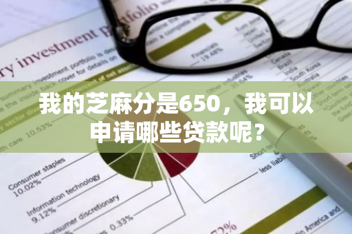 我的芝麻分是650，我可以申请哪些贷款呢？