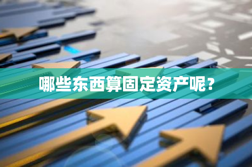 哪些东西算固定资产呢？