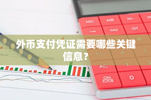 外币支付凭证需要哪些关键信息？
