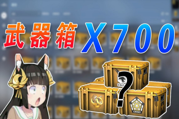 CSGO 纪念箱钥匙