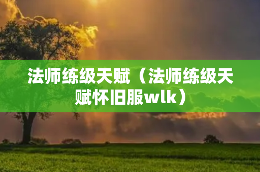 法师练级天赋（法师练级天赋怀旧服wlk）