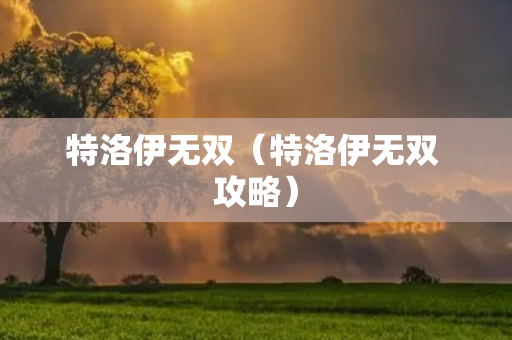 特洛伊无双（特洛伊无双 攻略）