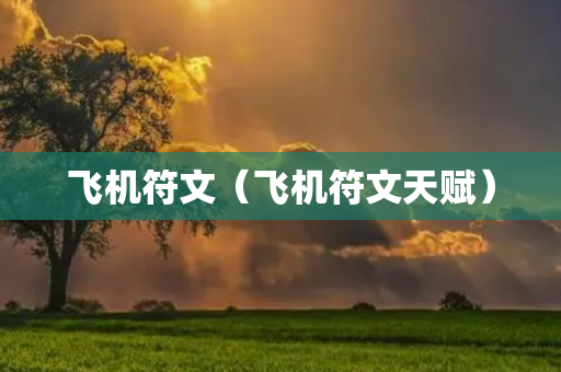 飞机符文（飞机符文天赋）