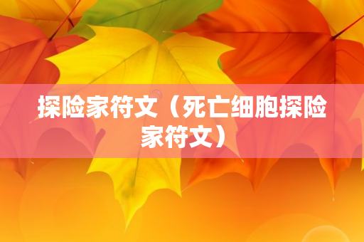 探险家符文（死亡细胞探险家符文）