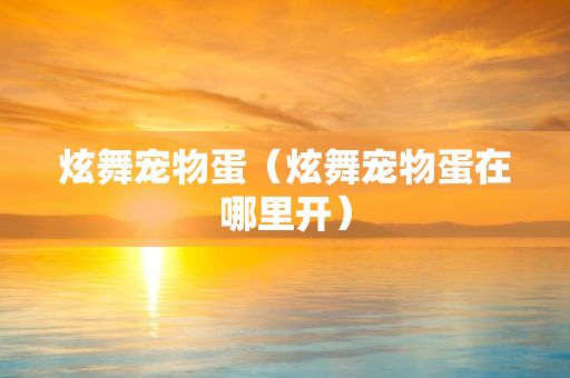 炫舞宠物蛋（炫舞宠物蛋在哪里开）