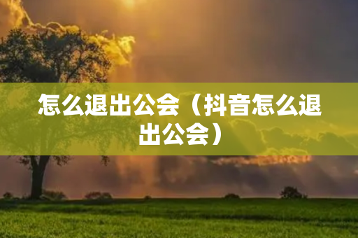 怎么退出公会（抖音怎么退出公会）