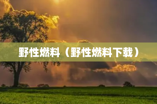 野性燃料（野性燃料下载）