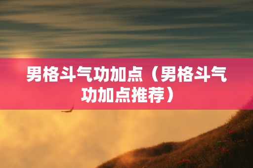 男格斗气功加点（男格斗气功加点推荐）