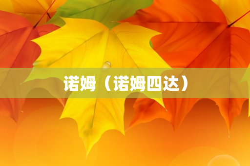 诺姆（诺姆四达）