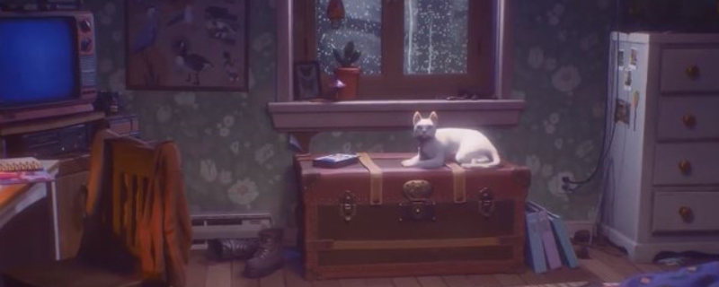 失落的记录绽放与愤怒白色猫咪怎么获得-失落的记录绽放与愤怒白色猫咪获得方法介绍