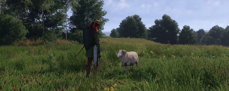 天国拯救2接骨木叶怎么获得-天国拯救2接骨木叶获取位置介绍