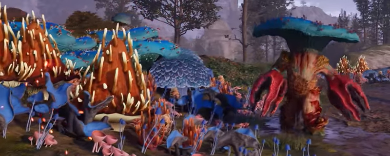 宣誓前期精粹怎么管理-宣誓前期精粹管理方法介绍