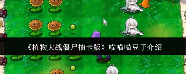 植物大战僵尸抽卡版喵喵喵豆子是谁-喵喵喵豆子介绍