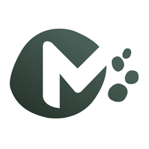 麻豆智行官网下载