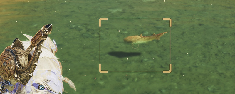 怪物猎人荒野钓大鱼有什么技巧-怪物猎人荒野钓大鱼好用技巧分享