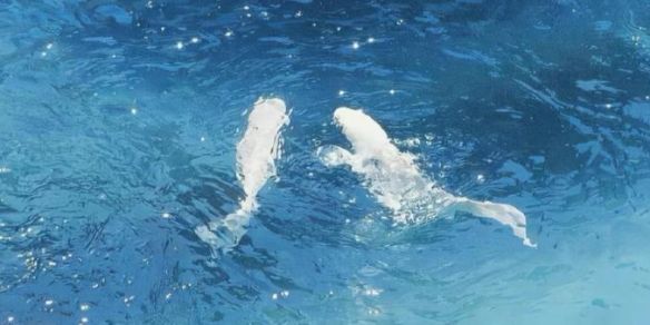 《英雄联盟》2025流行的网名大全