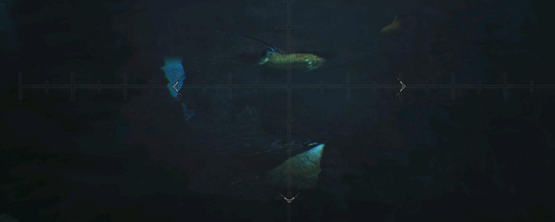 怪物猎人荒野黄金鱼怎么钓-怪物猎人荒野钓黄金鱼攻略分享