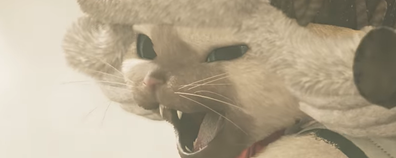 怪物猎人荒野生态系统的顶点成就怎么做-怪物猎人荒野生态系统的顶点成就做法介绍