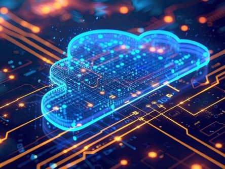 阿帆比特币最新视频