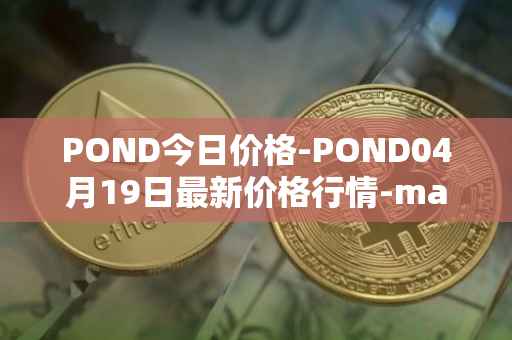 POND今日价格-POND04月19日最新价格行情-marlin最新走势消息