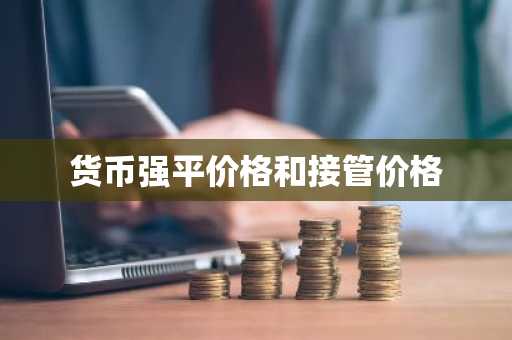 货币强平价格和接管价格