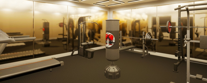 inZOI极简健身房房间怎么造-云族裔极简健身房房间分享
