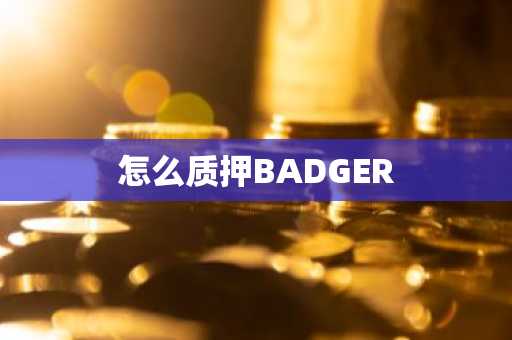 怎么质押BADGER