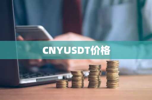 CNYUSDT价格