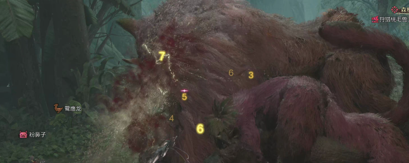 怪物猎人荒野怎么联机玩大世界狩猎-怪物猎人荒野大世界狩猎联机教程分享