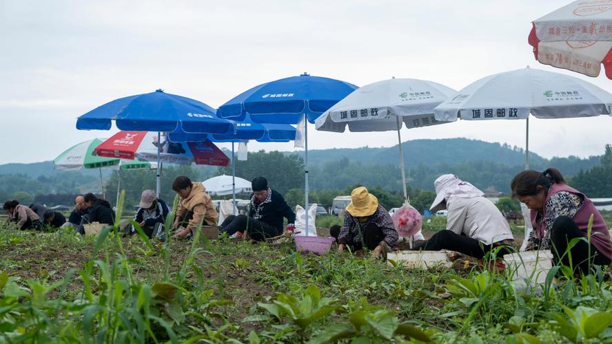 burst每天能挖多少