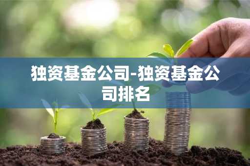 独资基金公司-独资基金公司排名