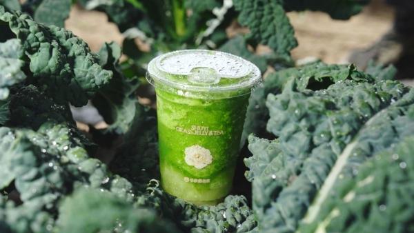 轻盈上场：书亦烧仙草联手“战斗天使”吴艳妮，解锁夏日健康新风味