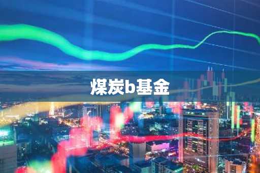煤炭b基金