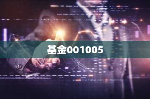 基金001005