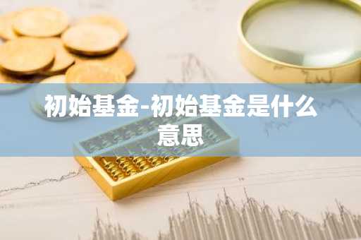 初始基金-初始基金是什么意思