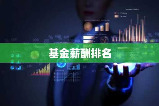 基金薪酬排名
