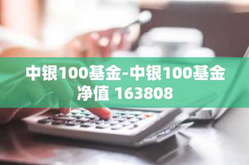 中银100基金-中银100基金净值 163808