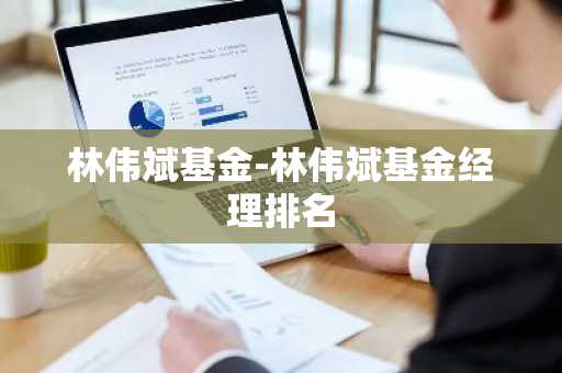 林伟斌基金-林伟斌基金经理排名